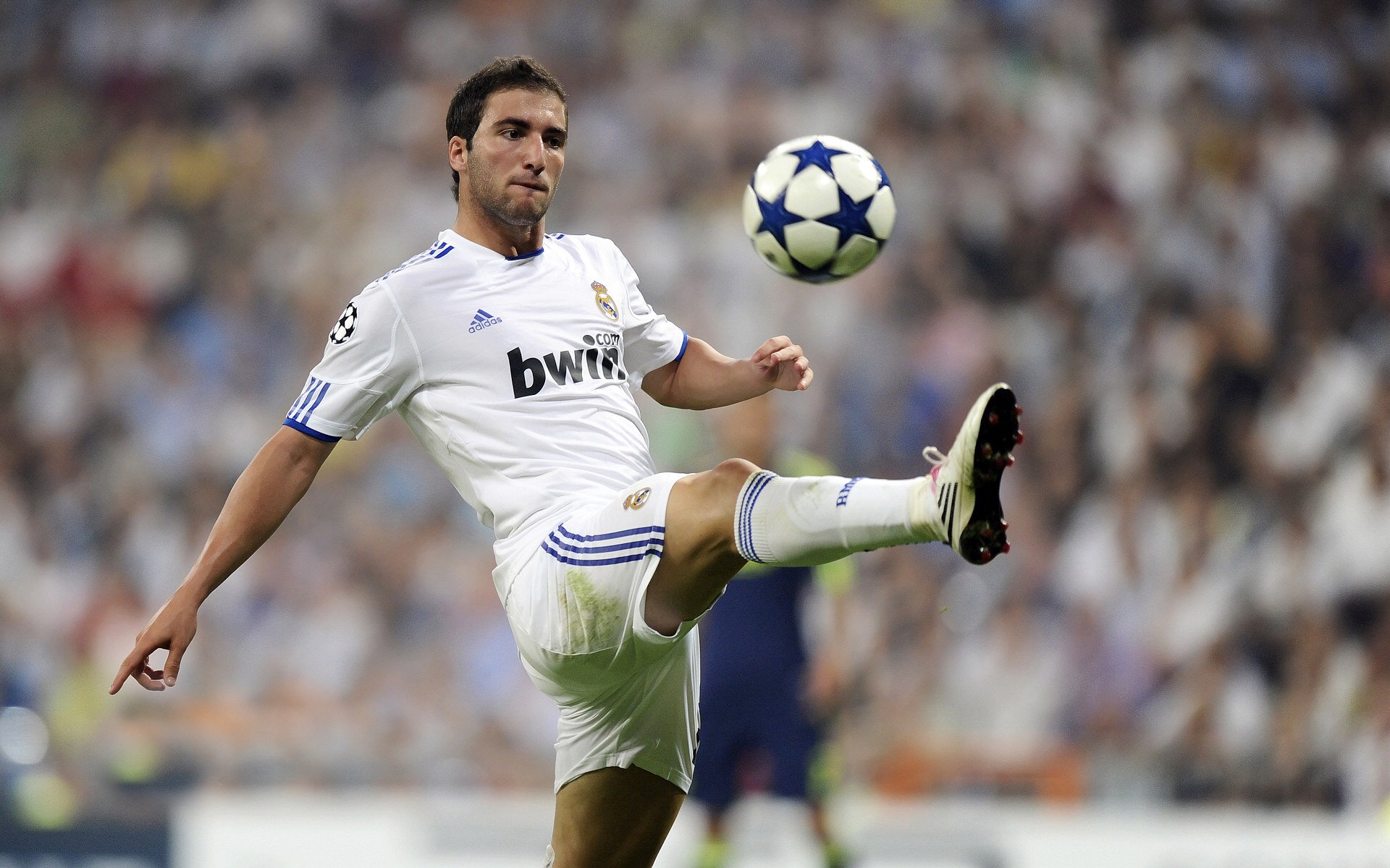 国家赛车队新赛季阵容公布，目标冲击世界冠军，国际赛车车队